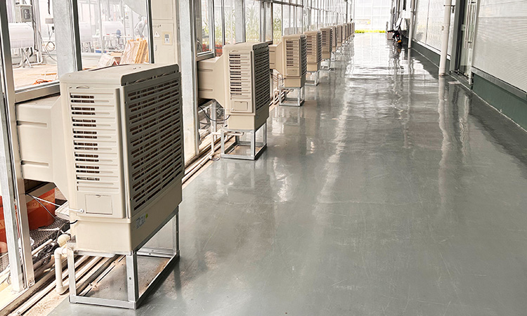 مشروع التهوية والتبريد في مركز تشجيانغ للعلوم النباتية